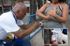 Salvador inicia imunização antirrábica em bairros de fronteira; confira o cronograma