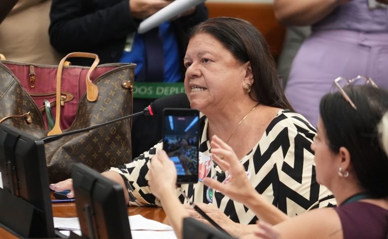 Discussão e votação de propostas legislativas. Dep. Laura Carneiro (PSD - RJ)