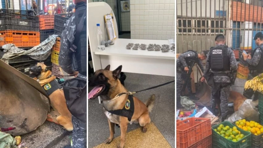 PM apreende drogas na Avenida Joana Angélica