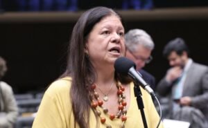 Discussão e Votação de propostas legislativas. Dep. Laura Carneiro (PSD - RJ)