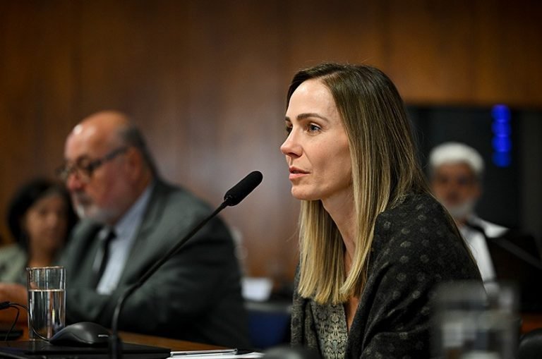 Conselho de Comunicação Social debate desinformação nas eleições - Notícias